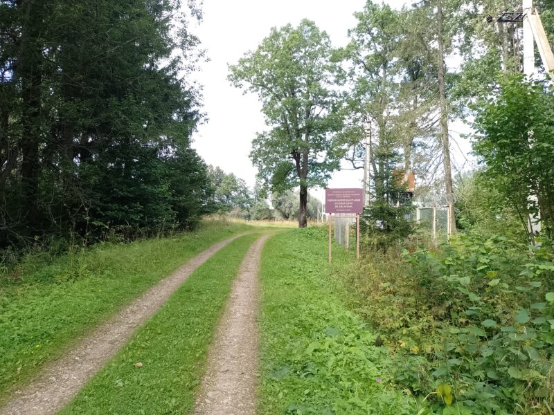 Автодорога (лыжероллеры) Н Горбово — Лызлово, состояние на 28 августа 2025 по отзыву, фото 4. Биостанция